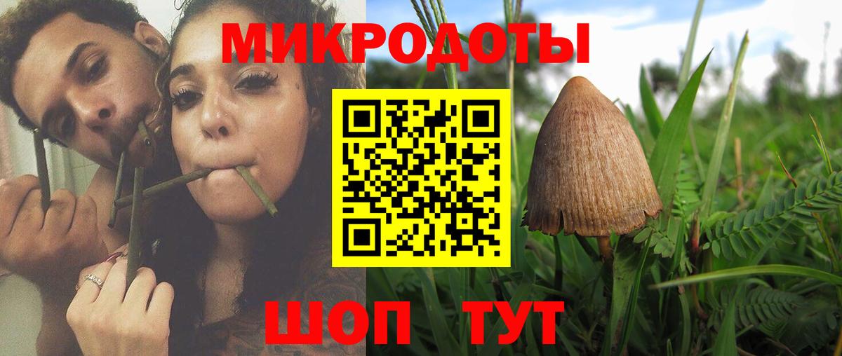 Кимовск  Псилоцибиновые грибы прущие грибы  Галлюциногенные грибы прущие грибы  Вход с VPN 